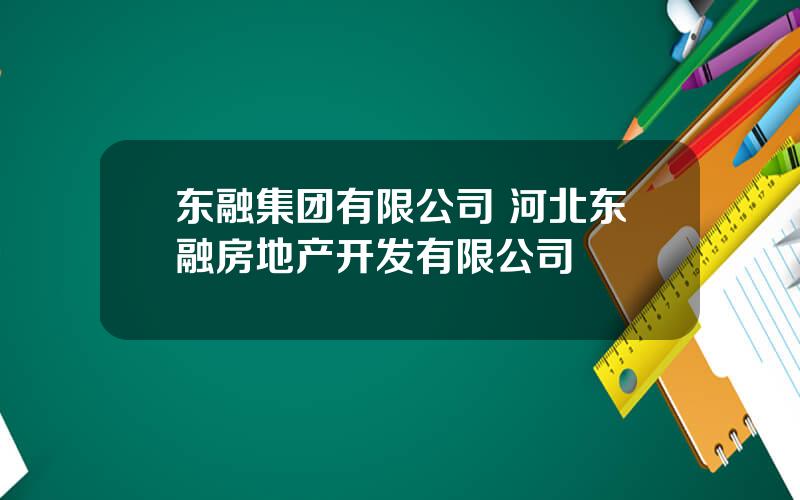 东融集团有限公司 河北东融房地产开发有限公司